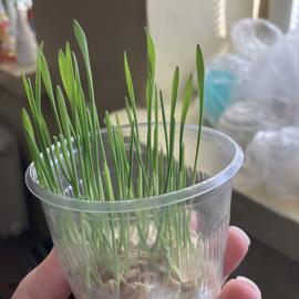 image_67186945
