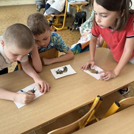 img-5850