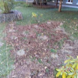 img_20210911_120010