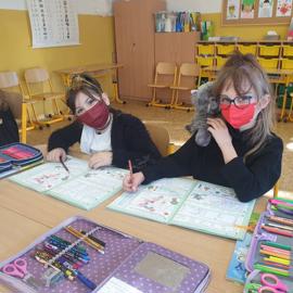 den masiek 25.2.22 lub 4