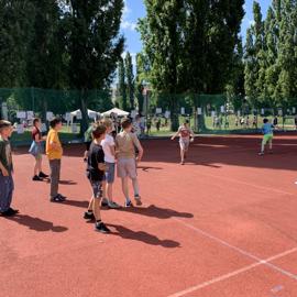 image_50445313