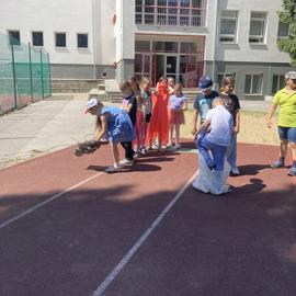 image_67162113