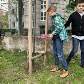 image_67523073