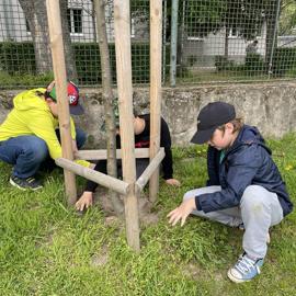 img-3961