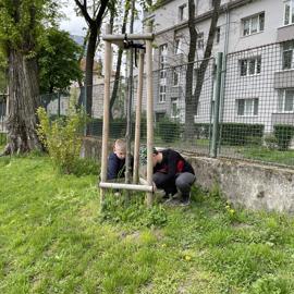 img-3962