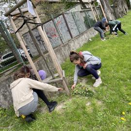 img-3963