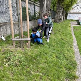 img-3966