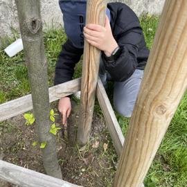 img-3969 (1)