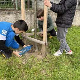 img-3970