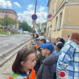 image_6483441-(14)