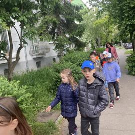 image_67237633