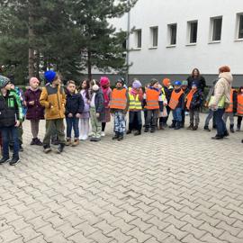 image_50462209-(1)