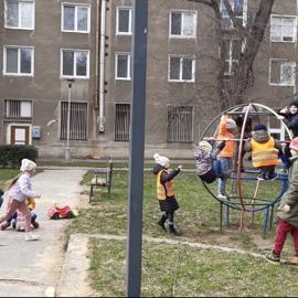 image_6487327-(13)