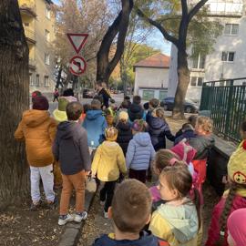 image_67546625