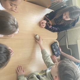 image_67167233 (1)