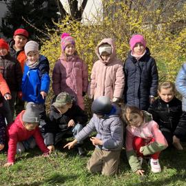 env-skd-iii-od-vych-