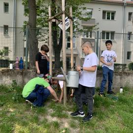 image_67225345