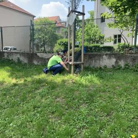image_67512833