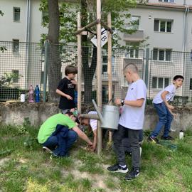 image_67515393 (1)
