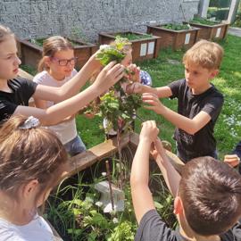 ENVIRONMENTÁLNA VÝCHOVA  V.oddelenie ŠKD