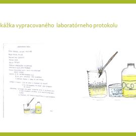 snimka6