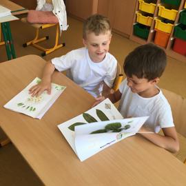 img_9131