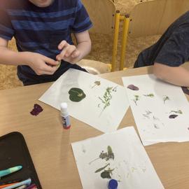 image_50398721