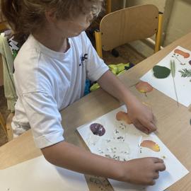 image_50434561