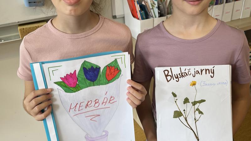 Herbár
