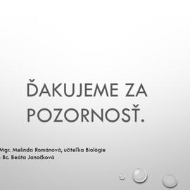 snimka6