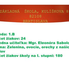 snimka12