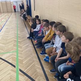 image_50382849