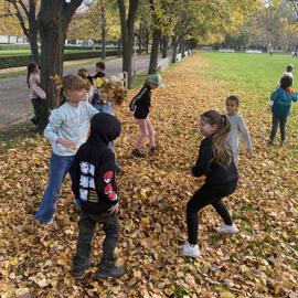 image_67544833-(1)