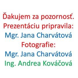 snimka40