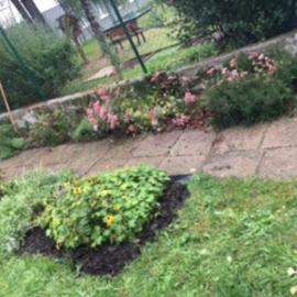image15