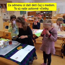 cit5
