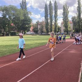 image_50381825