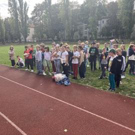 image_50428161