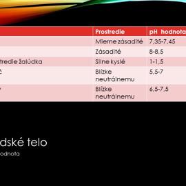 snimka8