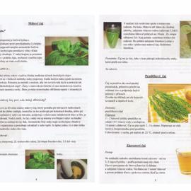liecive_recepty_z_prirodnej_zahrady-page-002