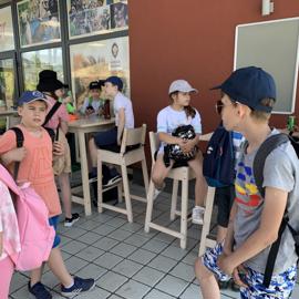 image_50732289 (1)
