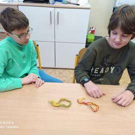 img_20230307_084503