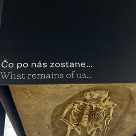 20230503_112524
