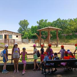 img_20230623_114125