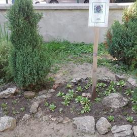brigadnici vysledok outdoor aktivity iv. odd. - skalnice v env kuliska - po
