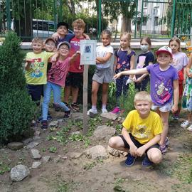 vycistene a zasadene skalne ruze