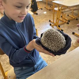 img-6029
