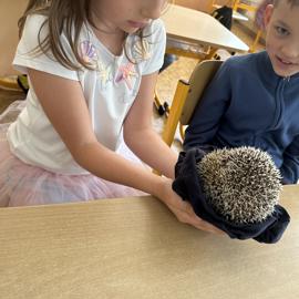 img-6030