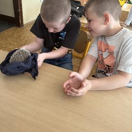 img-6032