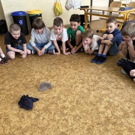 img-6033
